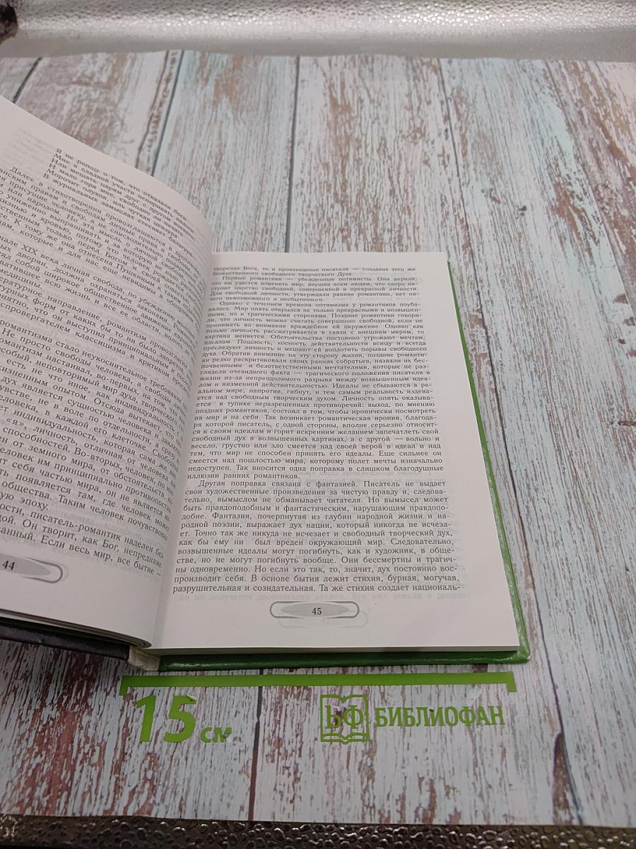 Русская литература XIX века. 10 класс. Часть 1