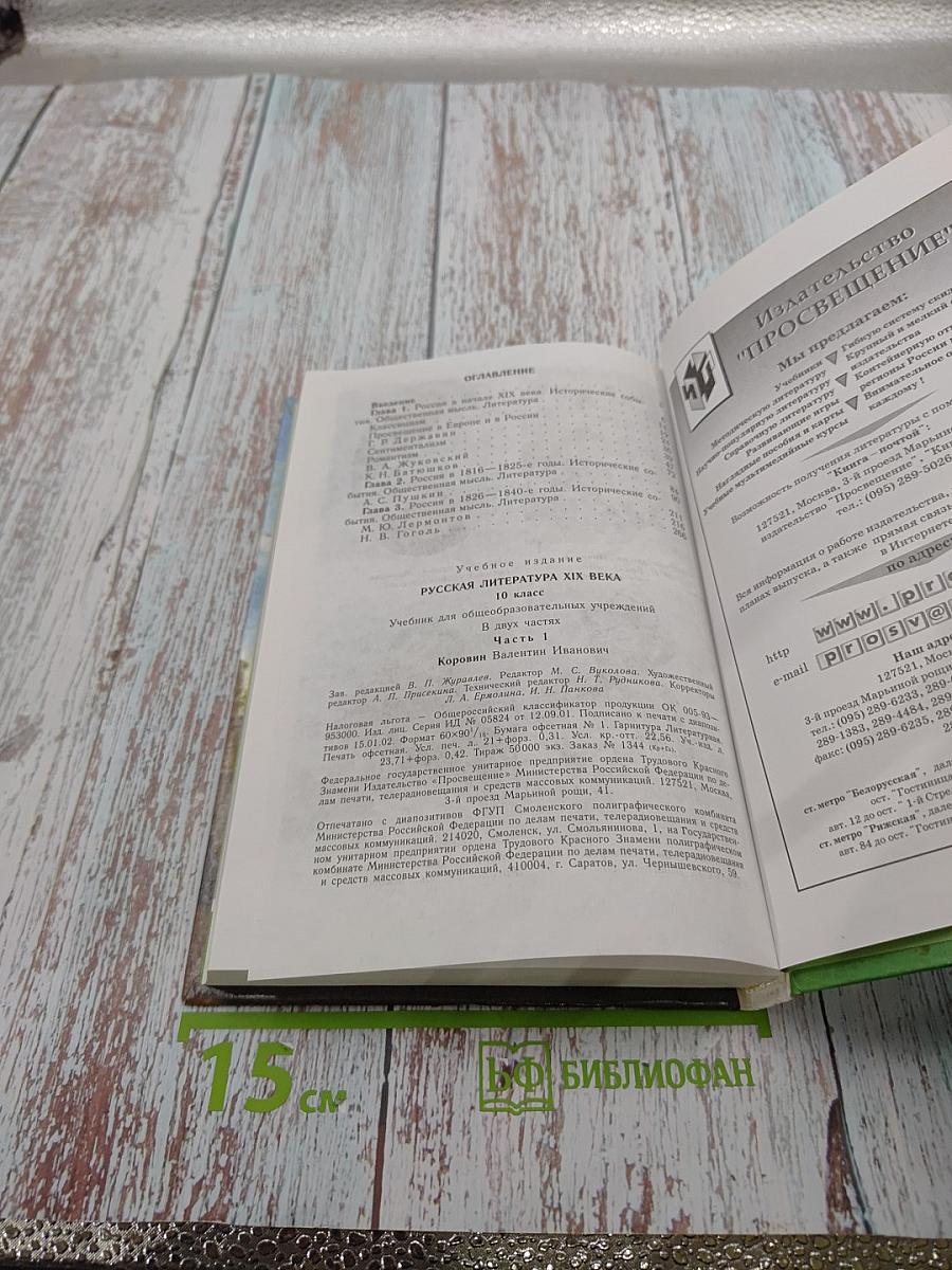 Русская литература XIX века. 10 класс. Часть 1