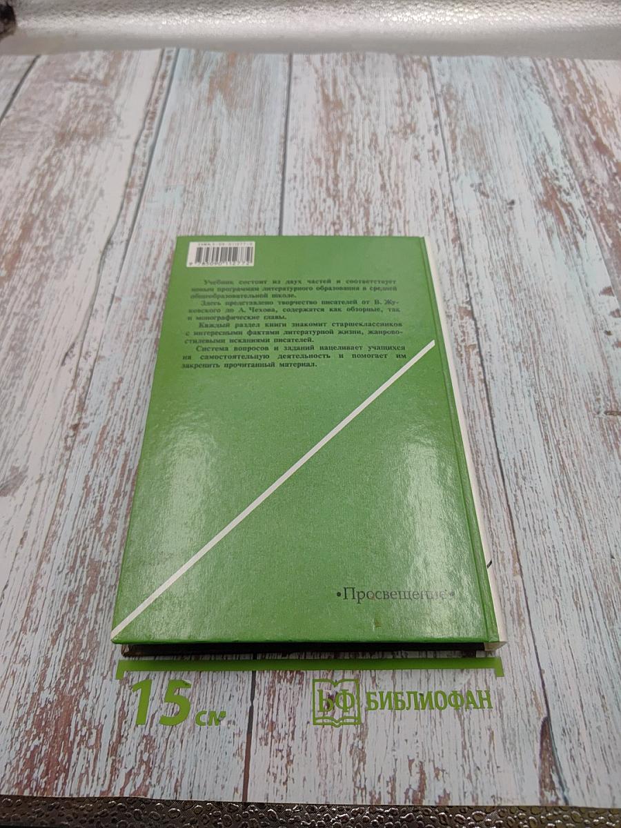 Русская литература XIX века. 10 класс. Часть 1