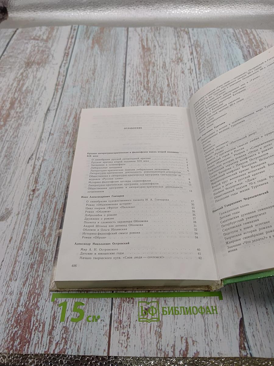 Русская литература XIX века. Вторая половина. 10 класс