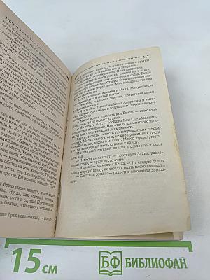 Жена моего мужа