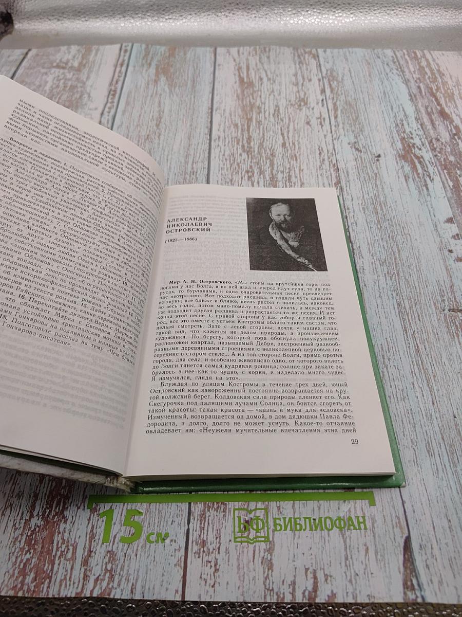 Русская литература XIX века. 10 класс. Часть 2