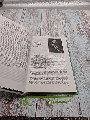 Русская литература XIX века. 10 класс. Часть 2