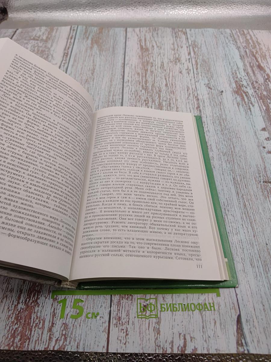 Русская литература XIX века. 10 класс. Часть 2