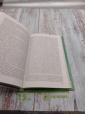 Русская литература XIX века. 10 класс. Часть 2