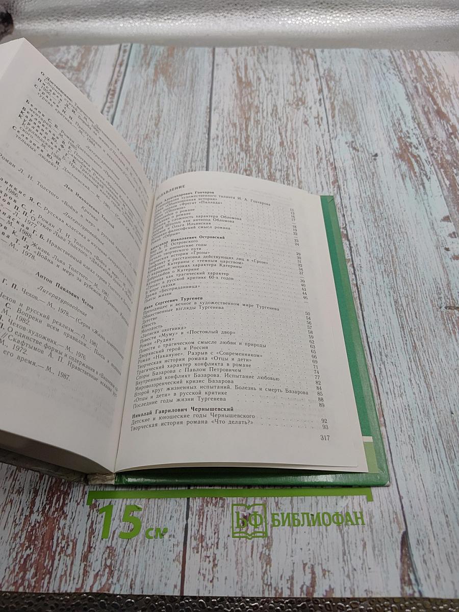 Русская литература XIX века. 10 класс. Часть 2