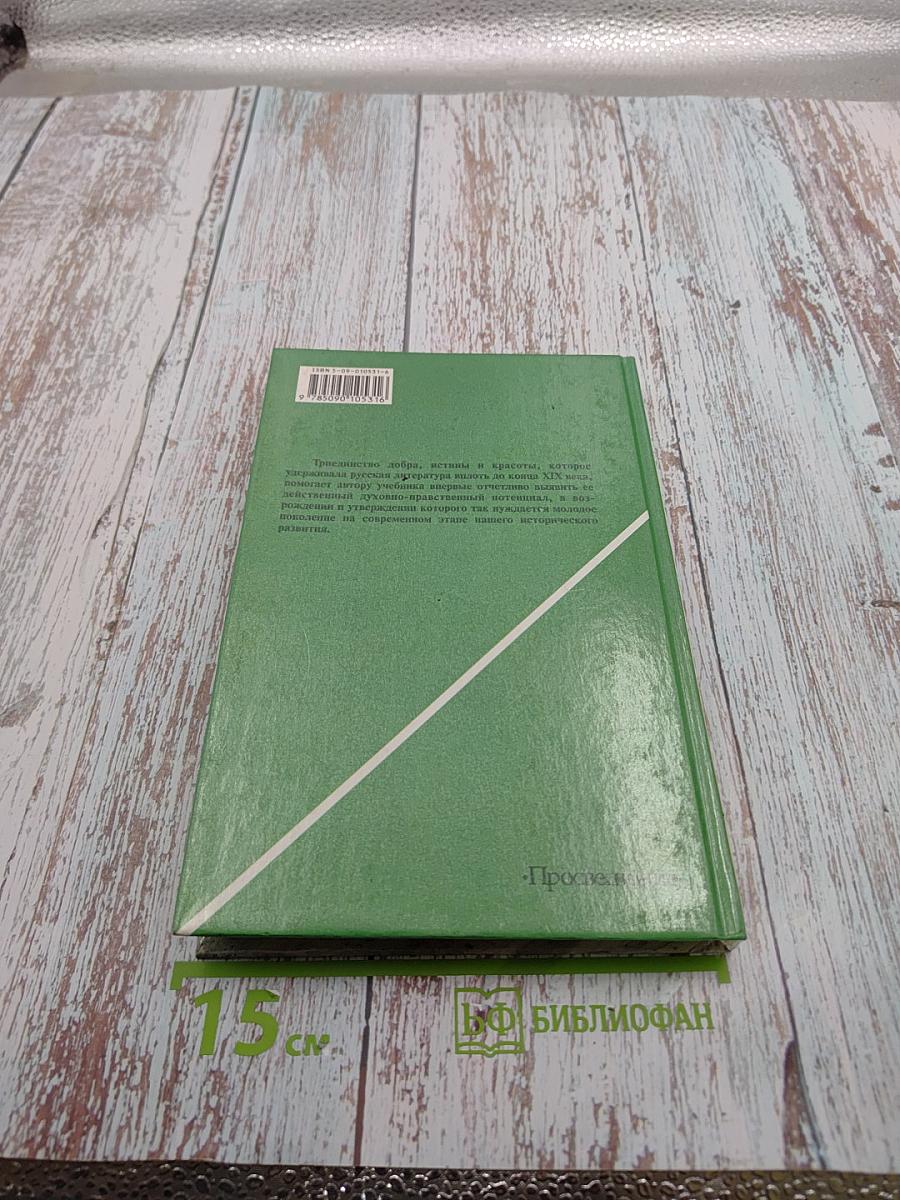 Русская литература XIX века. 10 класс. Часть 2