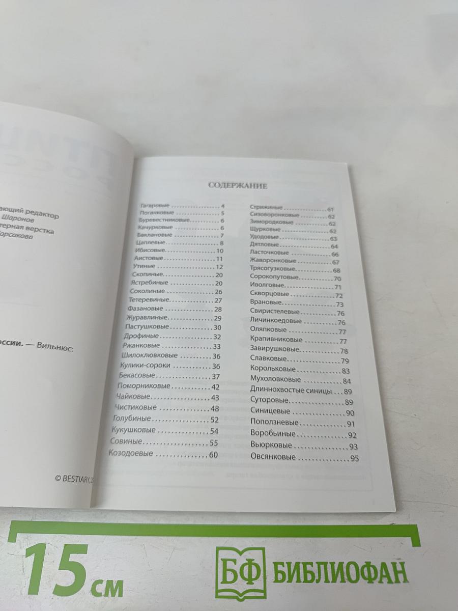 Птицы России