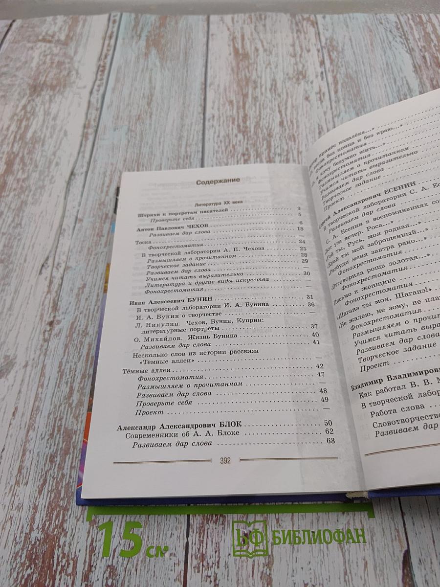 Литература 9 класс. Часть 2