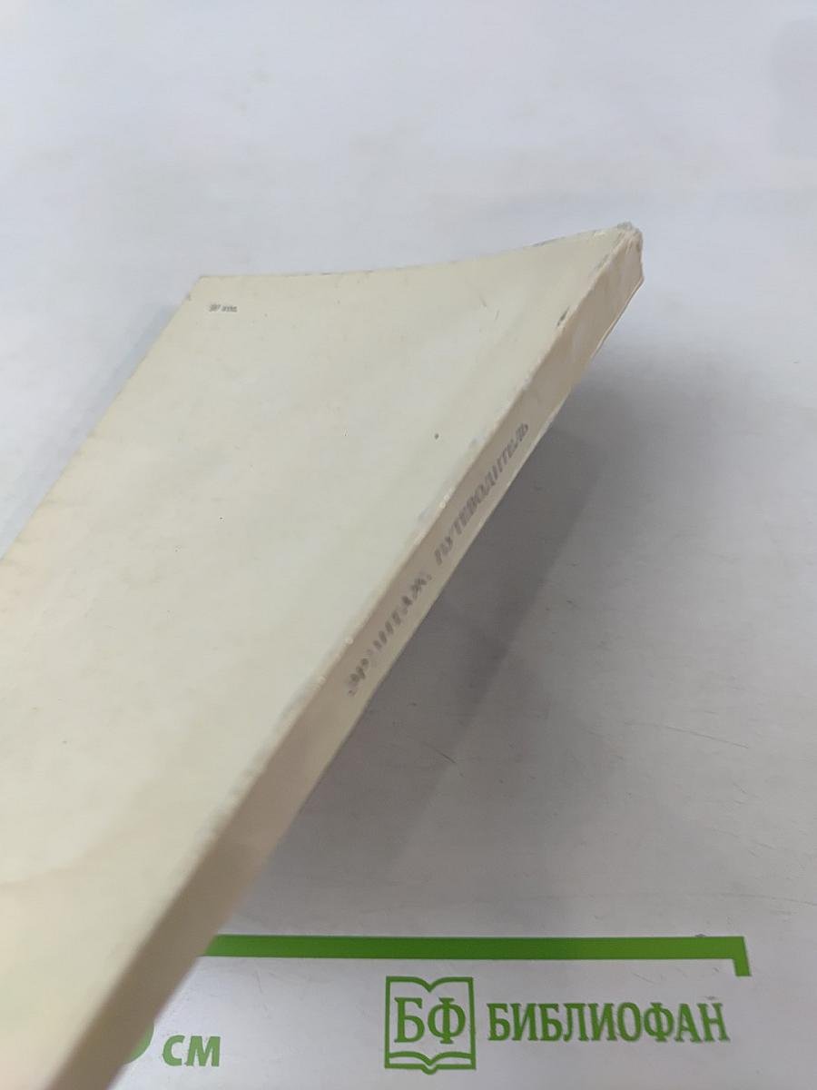 Эрмитаж. Путеводитель по залам музея