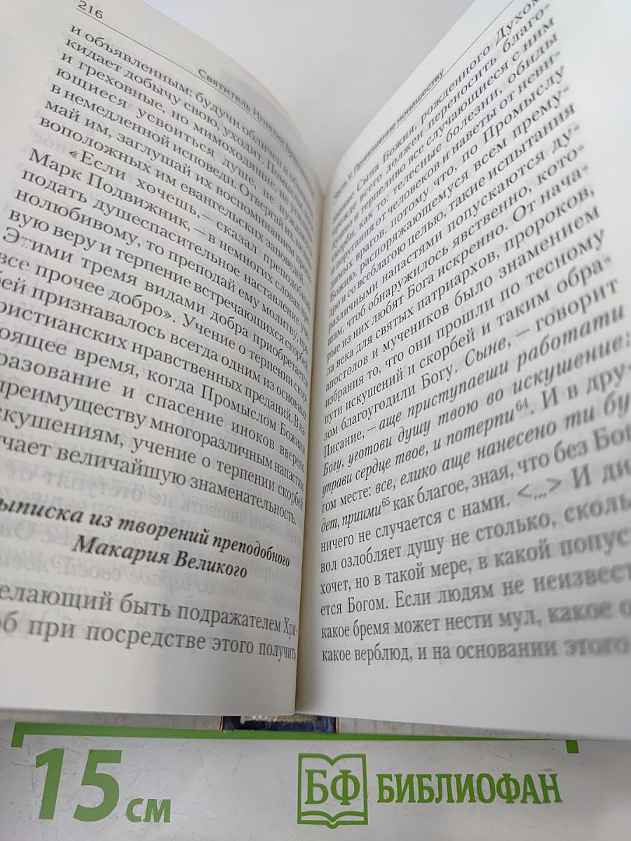 Избранные творения. Святитель Игнатий Брянчанинов. Том второй
