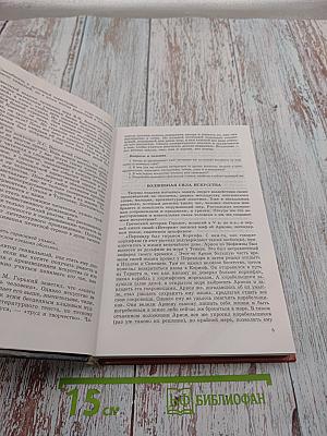 Литература 9 класс