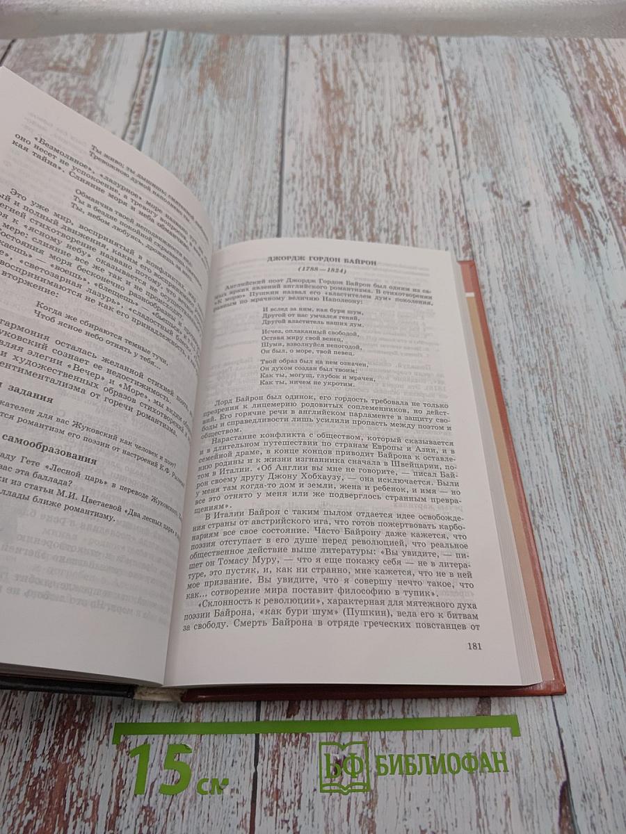 Литература 9 класс