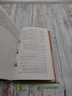 Литература 9 класс