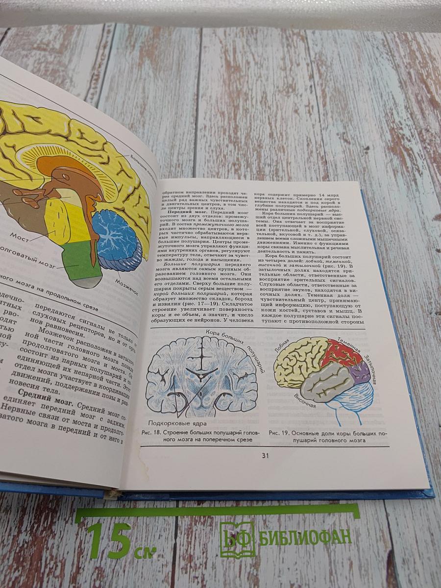 Биология. Человек. 9 класс