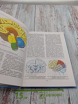 Биология. Человек. 9 класс