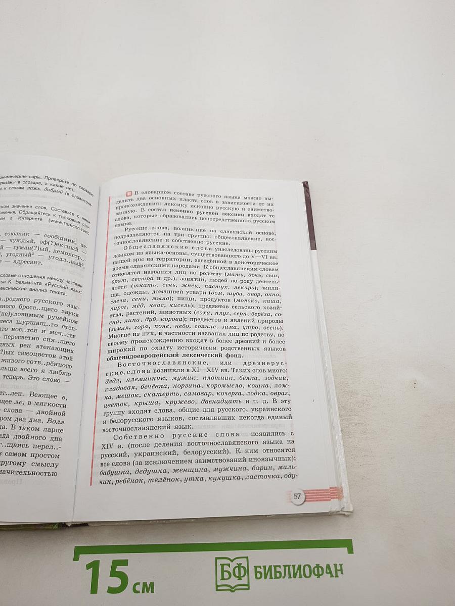 Русский язык. 10-11 классы. Базовый уровень