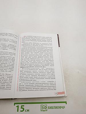 Русский язык. 10-11 классы. Базовый уровень