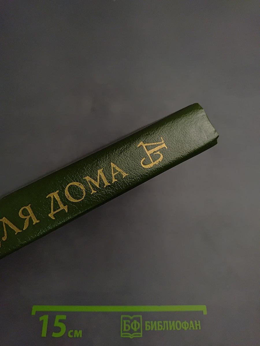 Домашняя энциклопедия. Все для дома: Здоровье ребенка и семьи