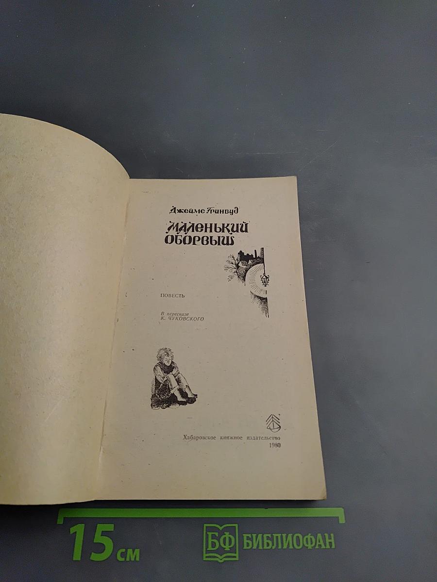 Маленький оборвыш