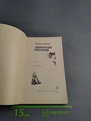 Маленький оборвыш