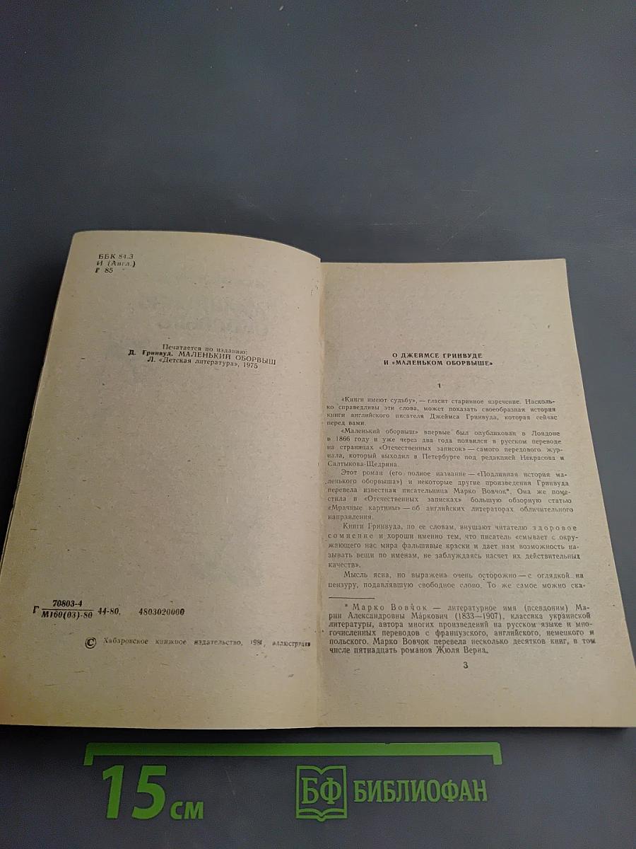 Маленький оборвыш