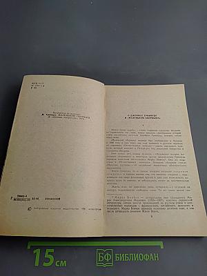 Маленький оборвыш