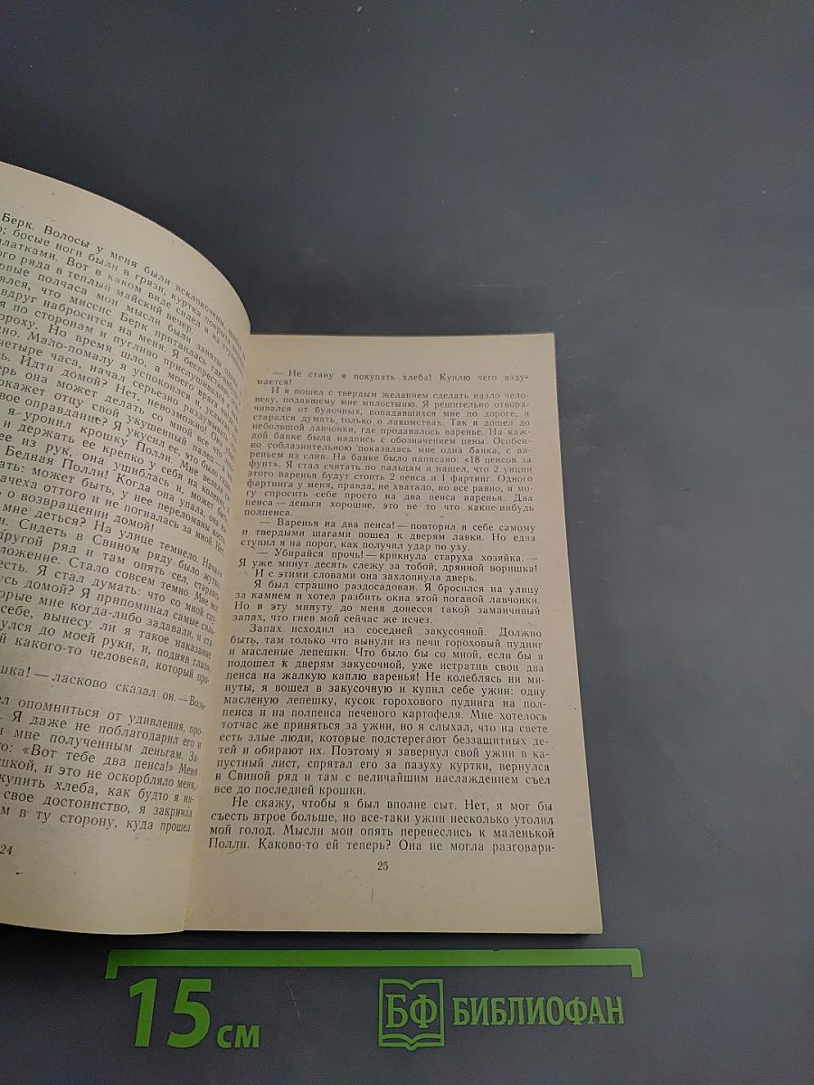 Маленький оборвыш