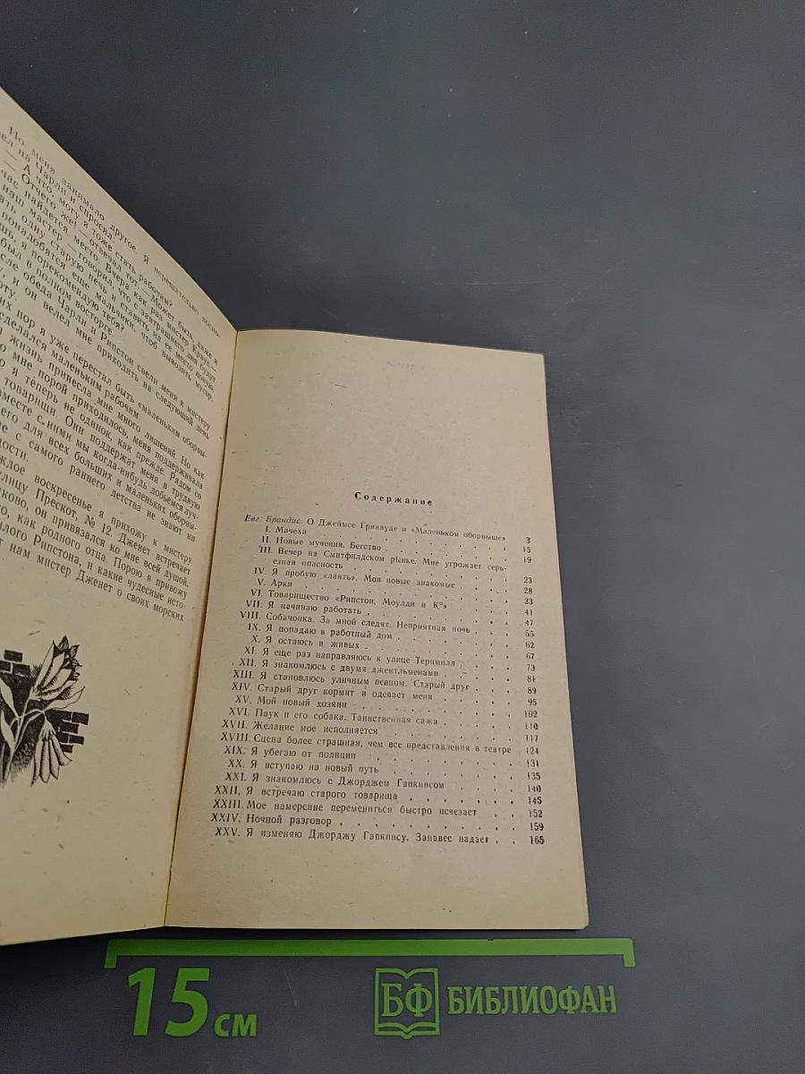 Маленький оборвыш