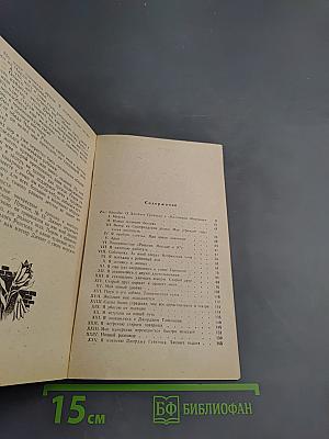 Маленький оборвыш