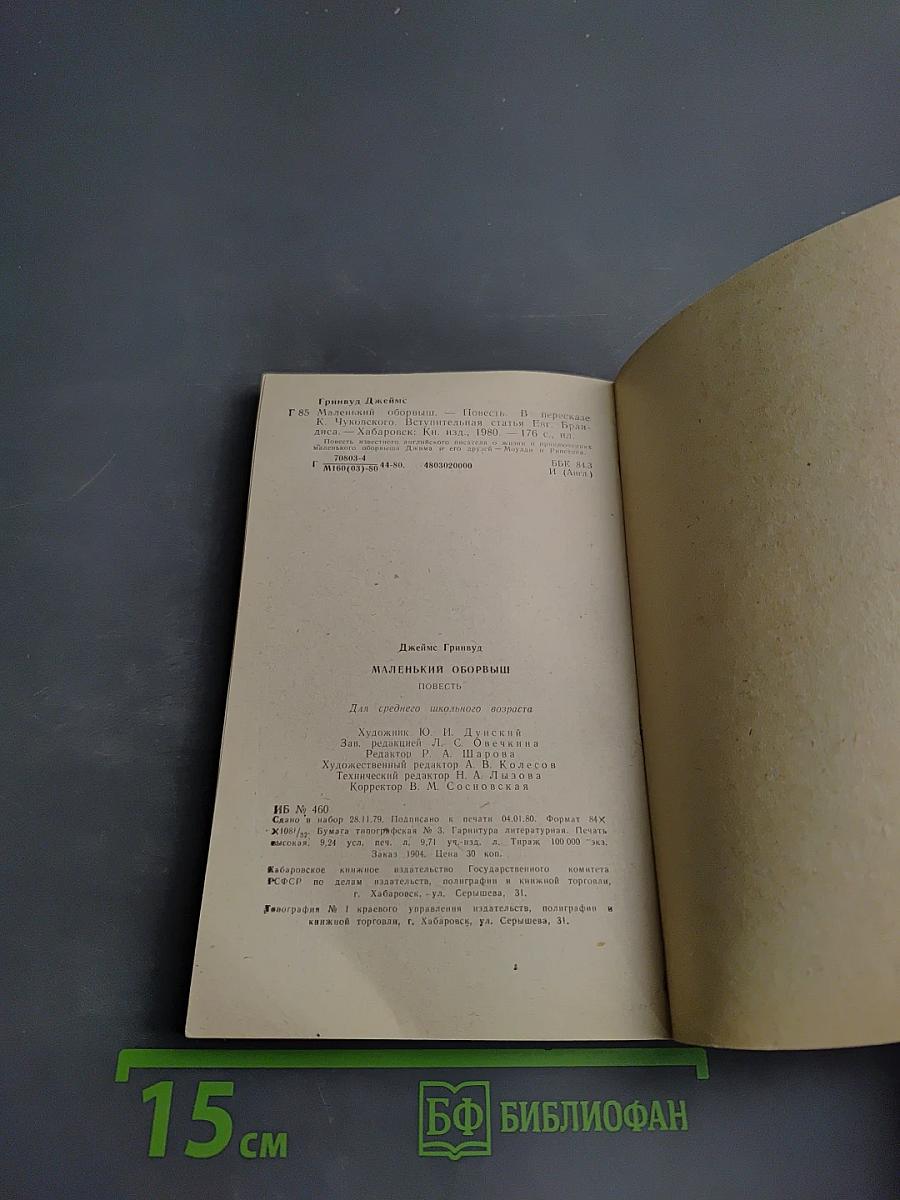 Маленький оборвыш