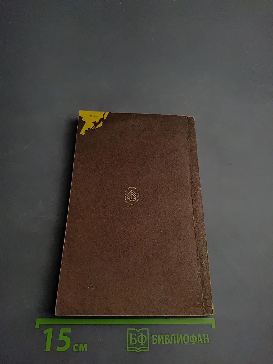 Маленький оборвыш