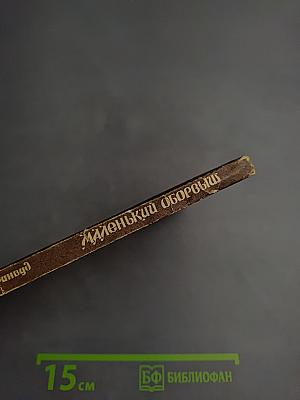 Маленький оборвыш