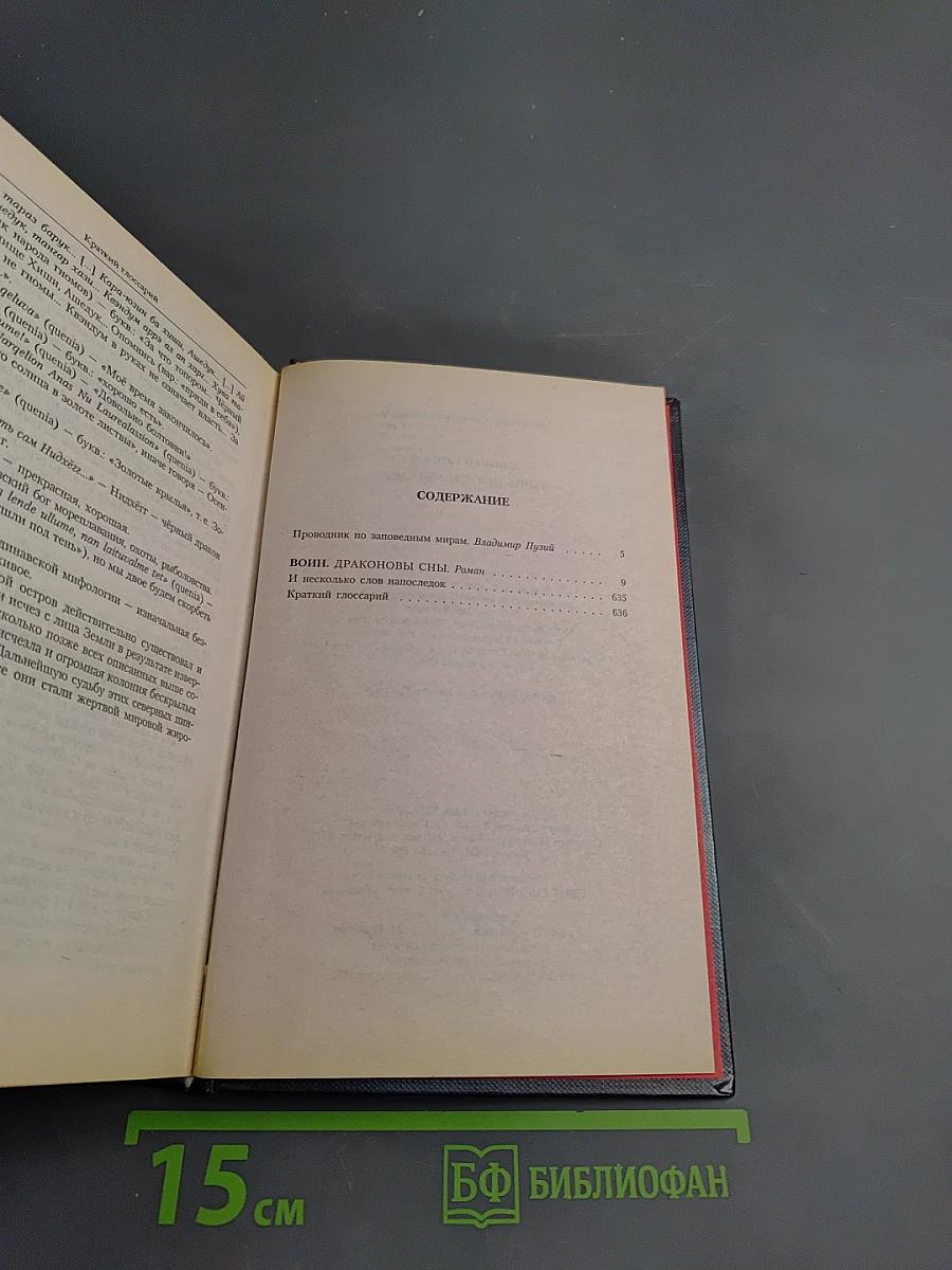 Воин. Драконовы сны