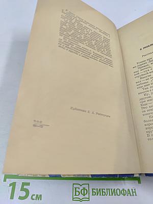 Я люблю нашу улицу