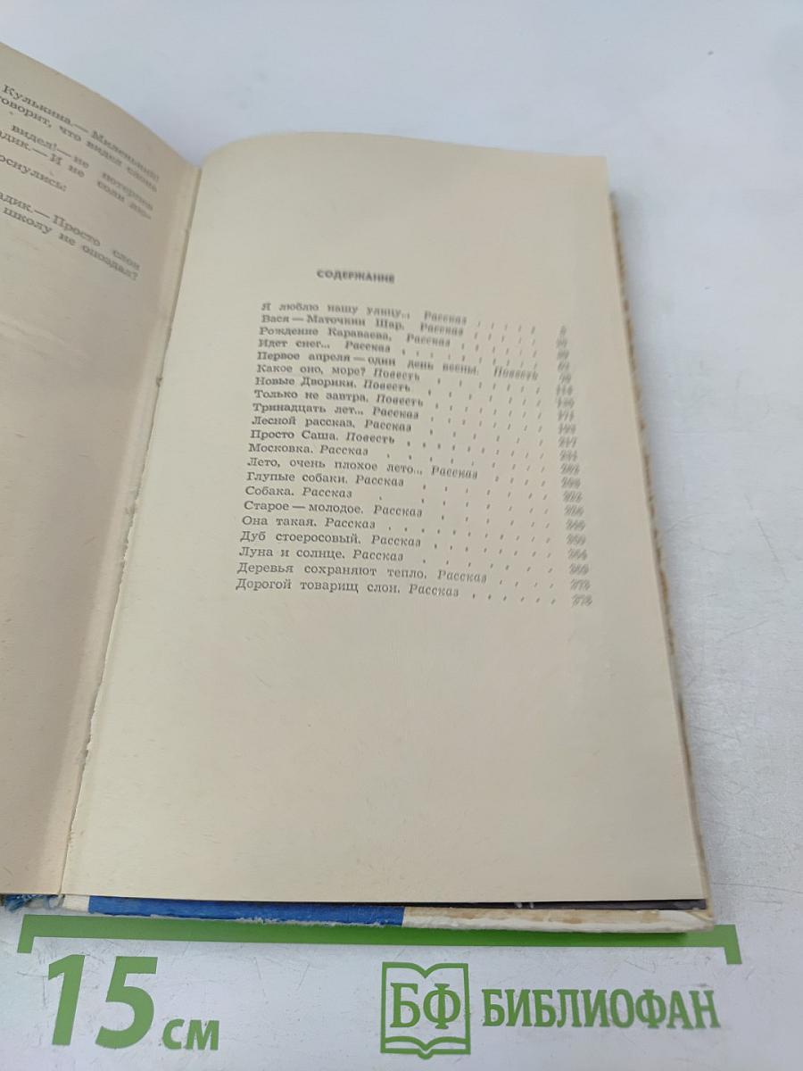 Я люблю нашу улицу