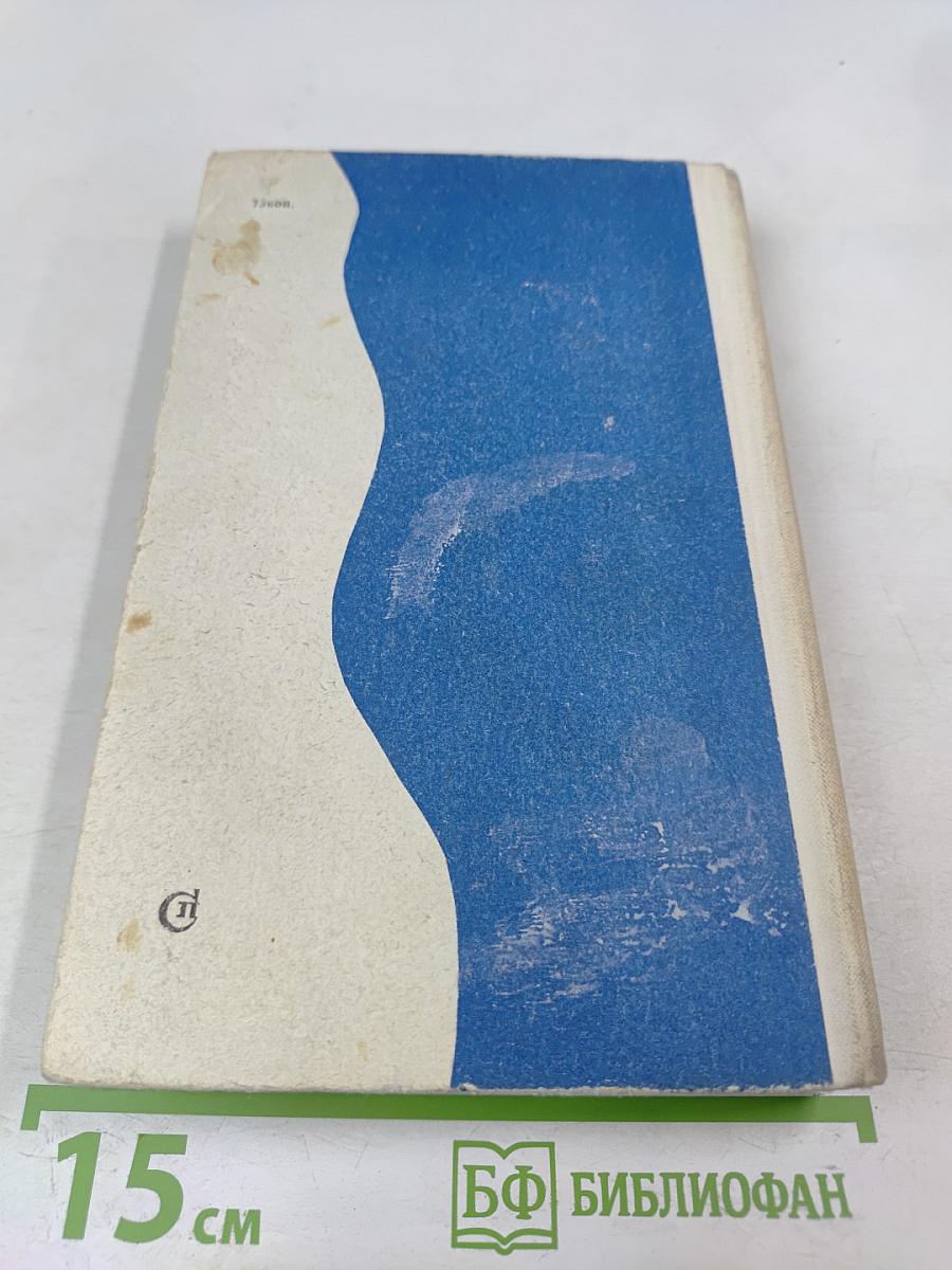 Я люблю нашу улицу