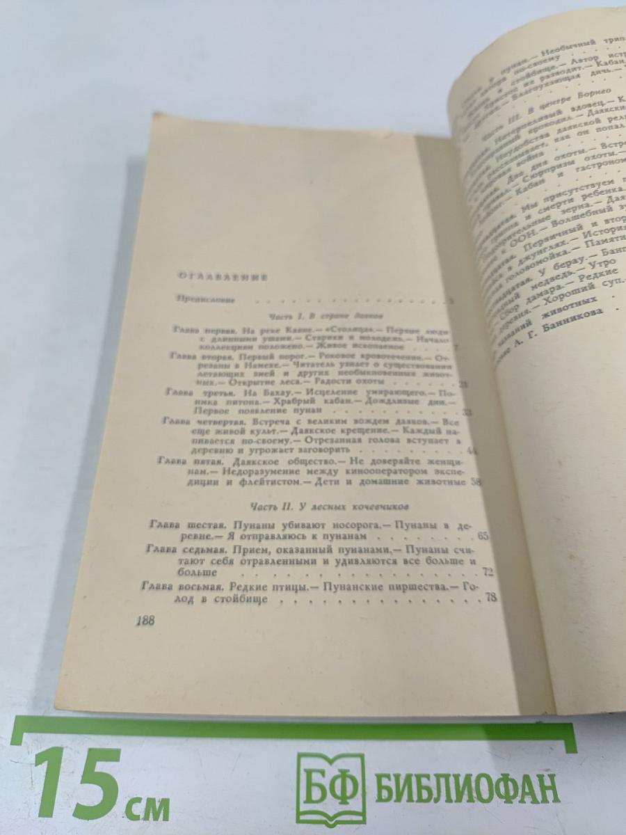 Бивуаки на Борнео