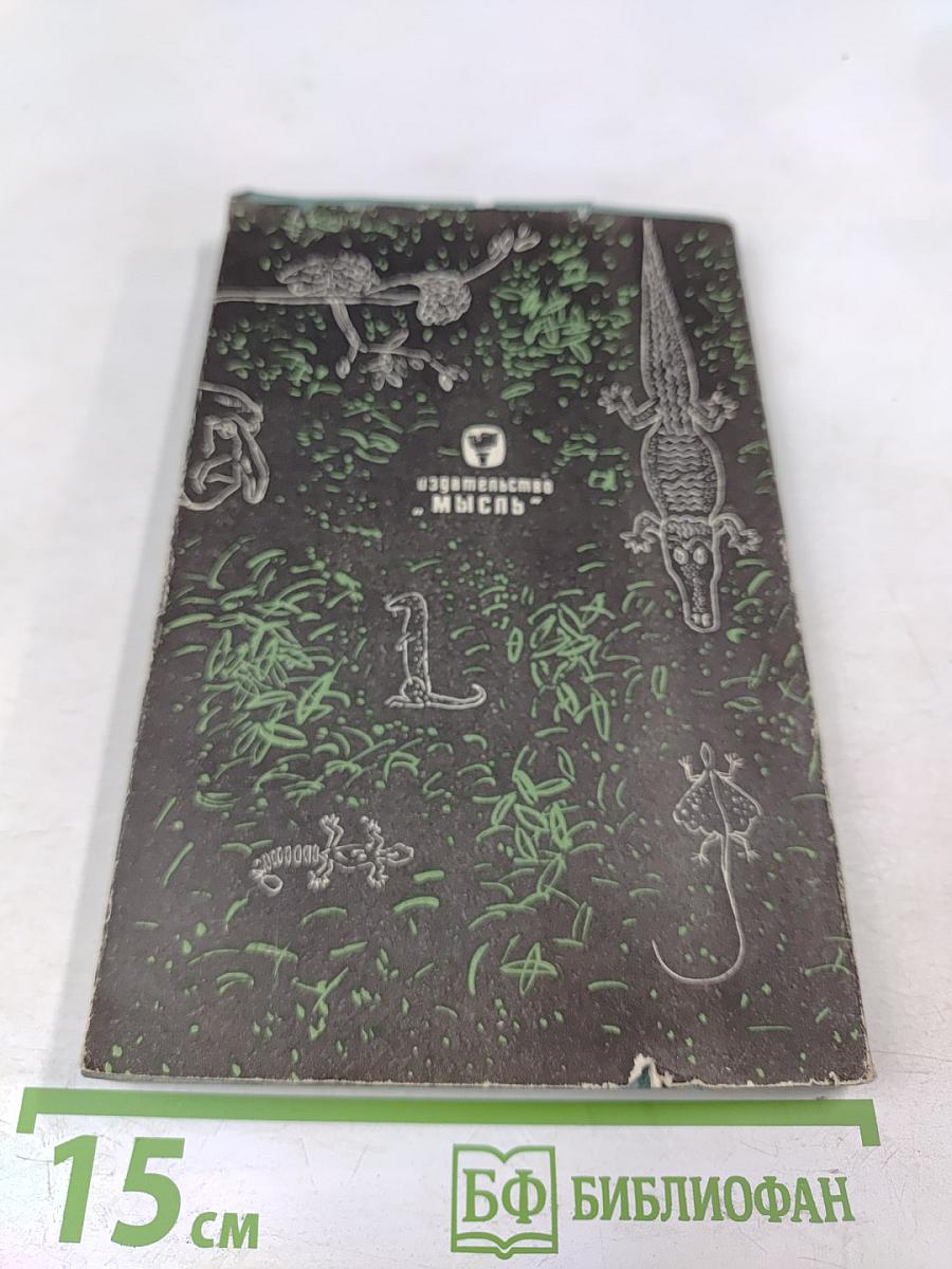 Бивуаки на Борнео