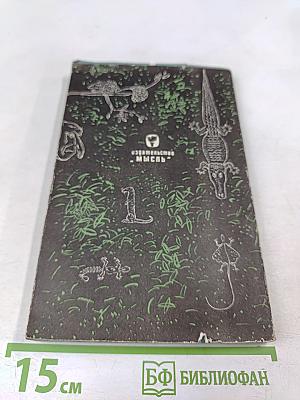 Бивуаки на Борнео