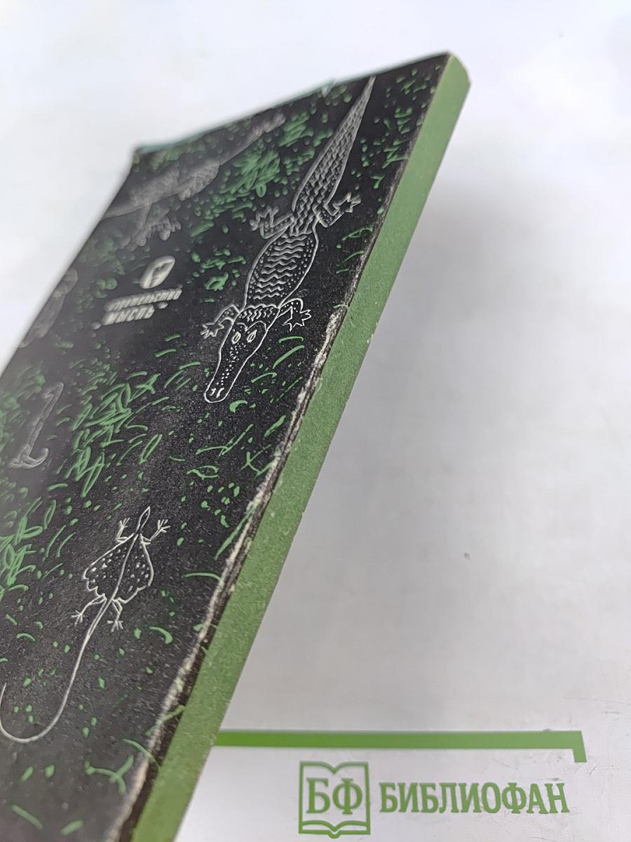 Бивуаки на Борнео