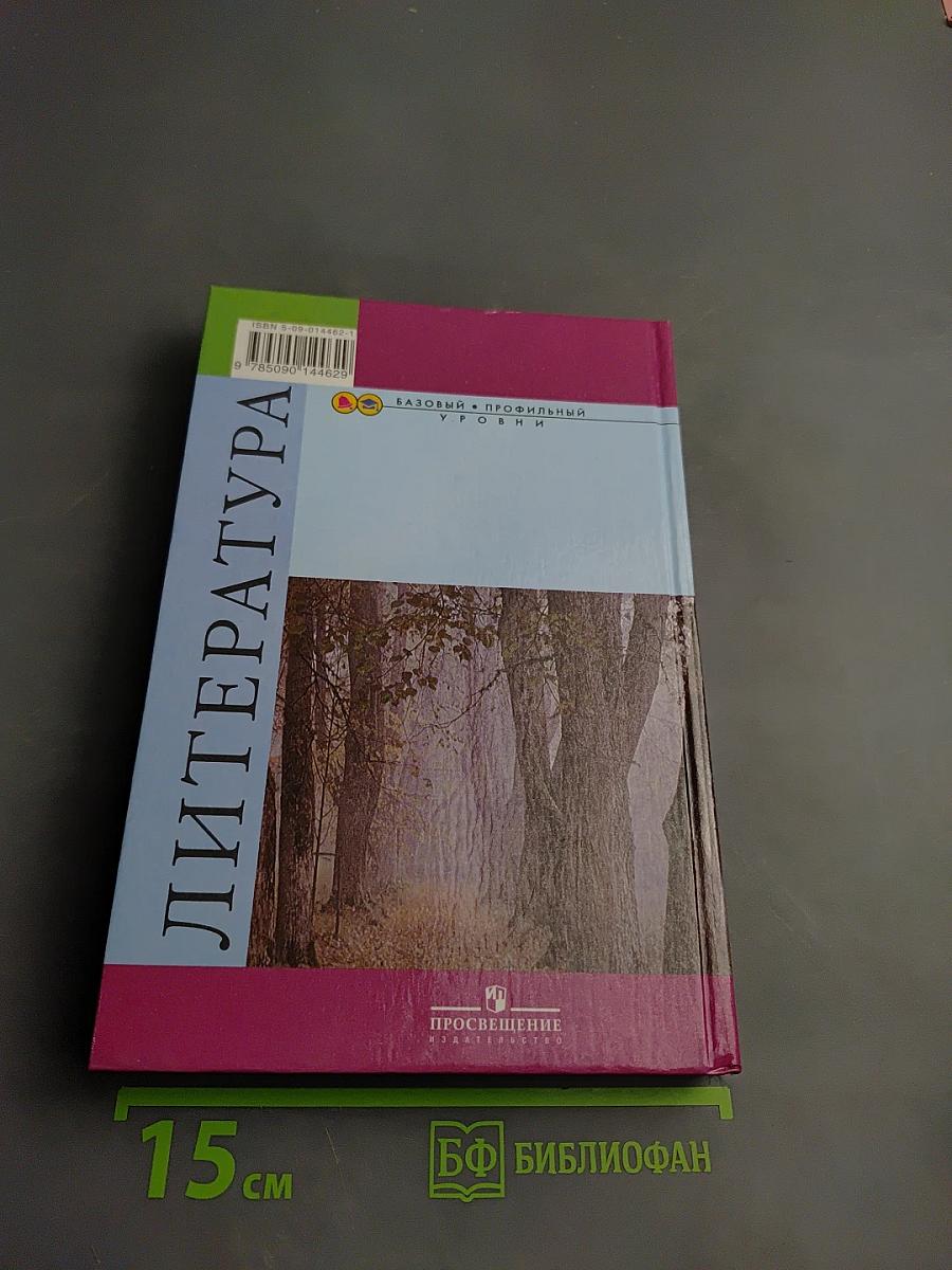 Литература. 10 класс. Часть 1. Базовый и профильный уровни