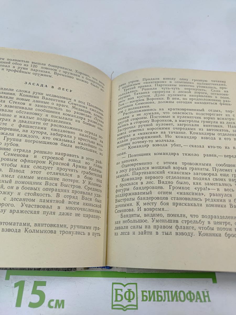 Шаги над пропастью
