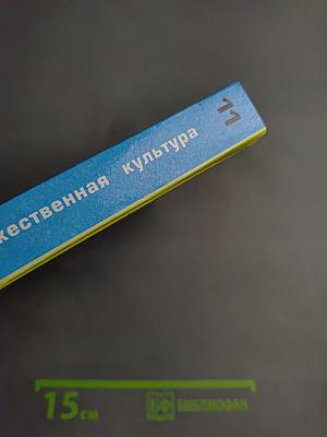 Мировая художественная культура 11 класс