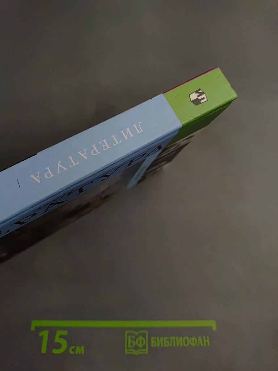 Литература 10 класс. Часть 1