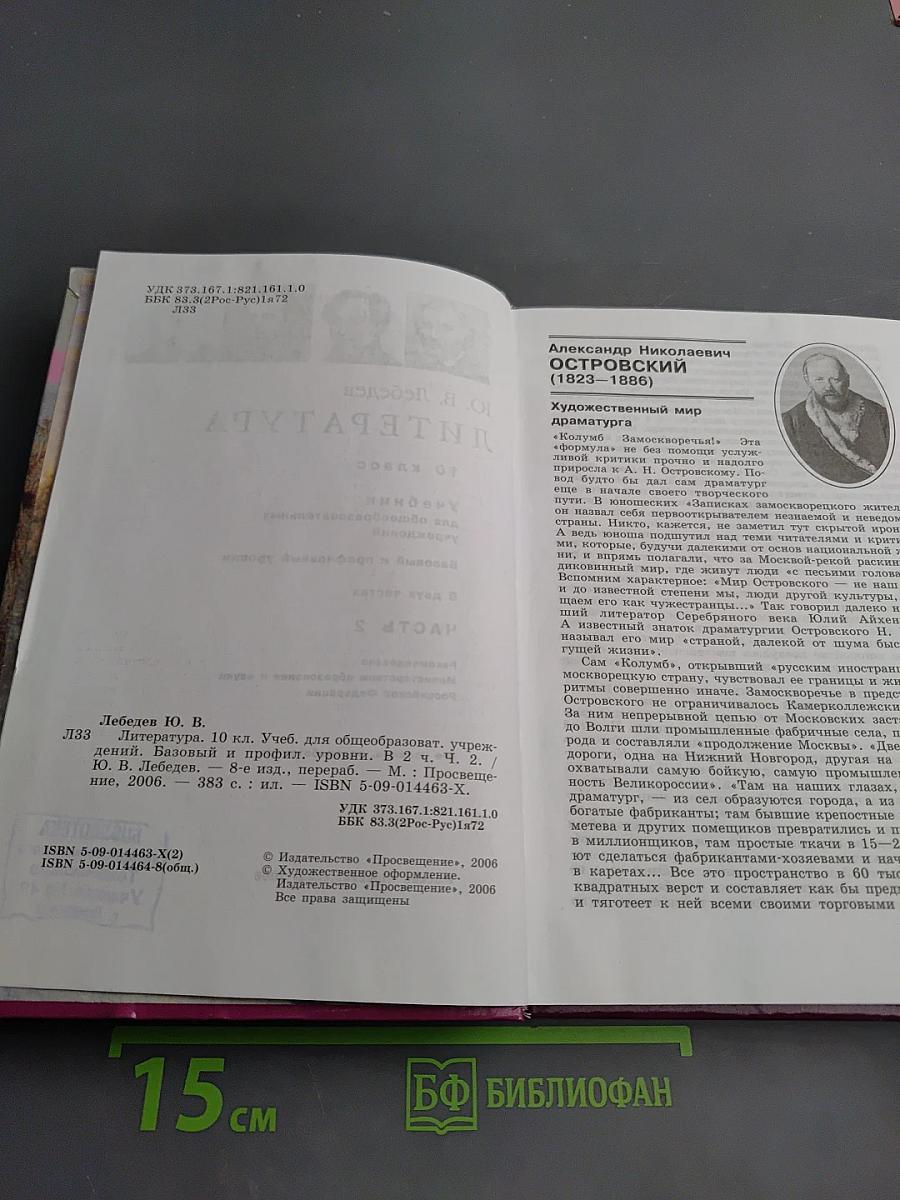 Литература. 10 класс. Часть 2