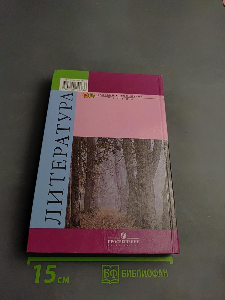 Литература. 10 класс. Часть 2