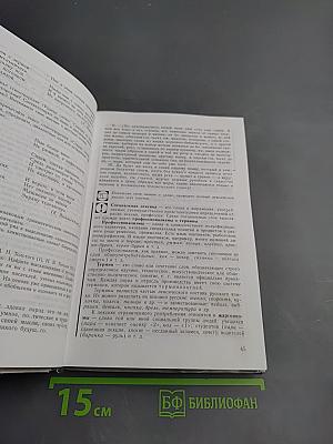 Русский язык. Грамматика. Текст. Стили речи. Учебник для 10-11 классов