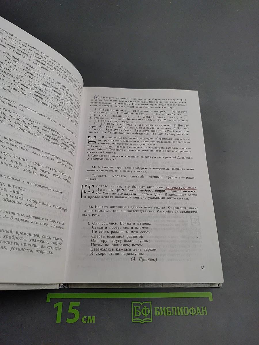 Русский язык. Грамматика. Текст. Стили речи. Учебное пособие для 10-11 классов