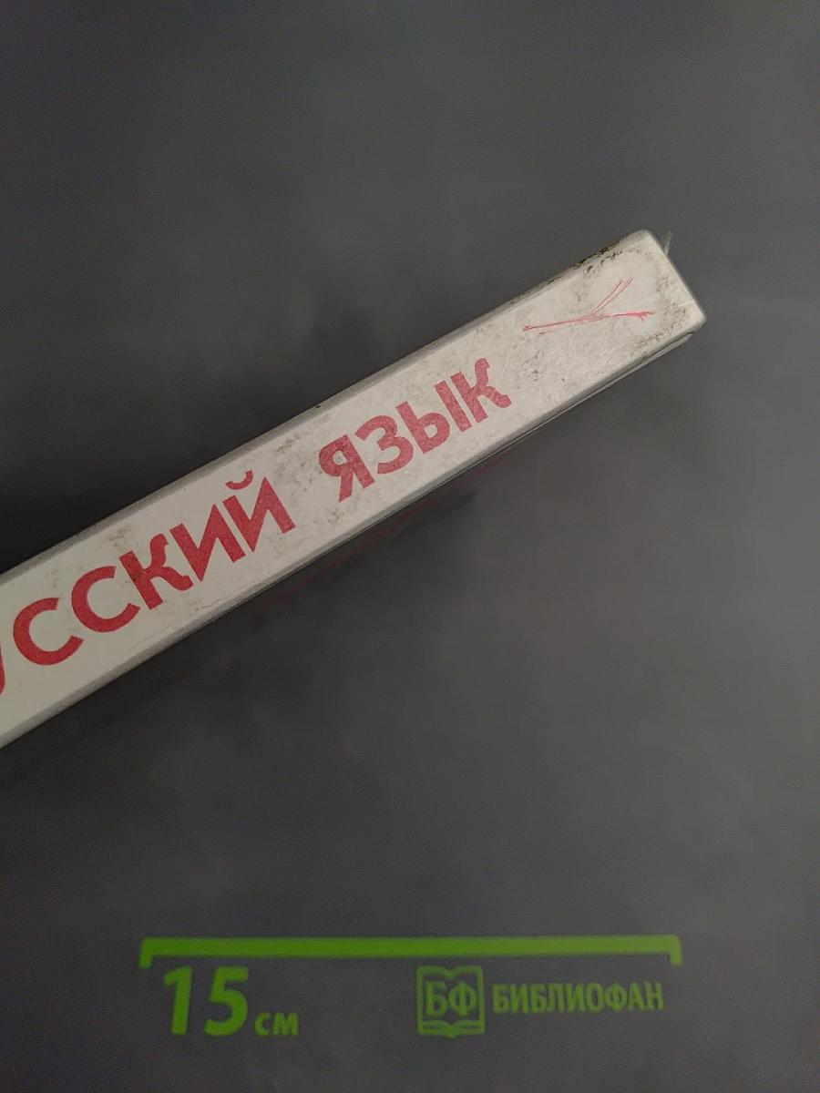 Русский язык. Грамматика. Текст. Стили речи. Учебное пособие для 10-11 классов